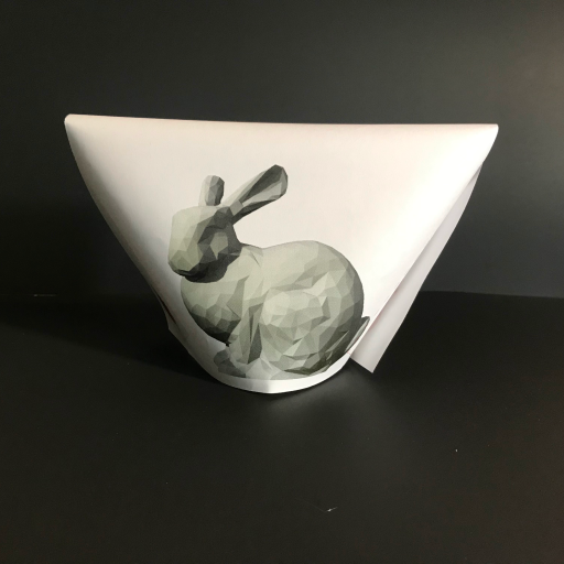  Bunny stl displayed in the curved volume form.